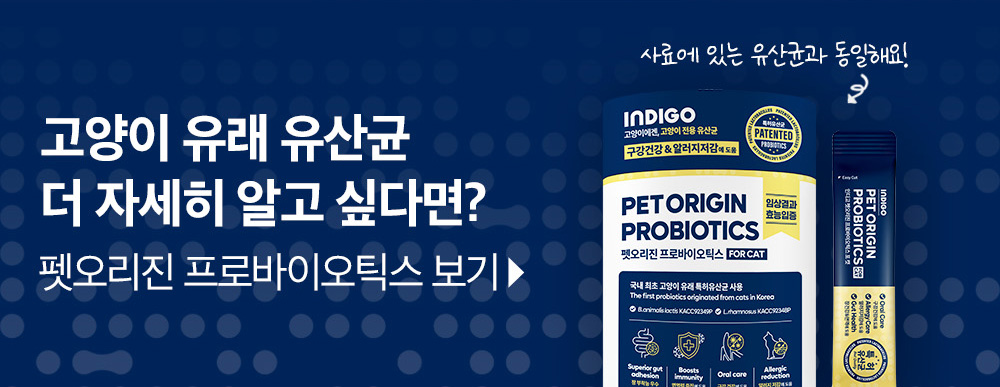 인디고세븐_인도어팻다운포캣_4.jpg