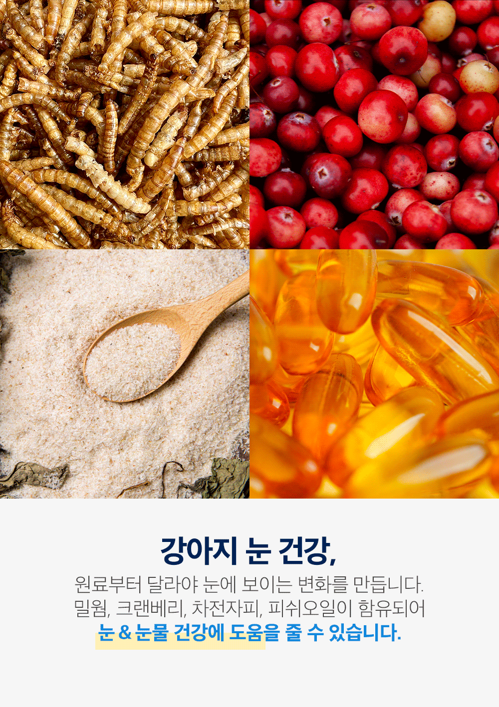 하이포알러제닉포독_3.gif