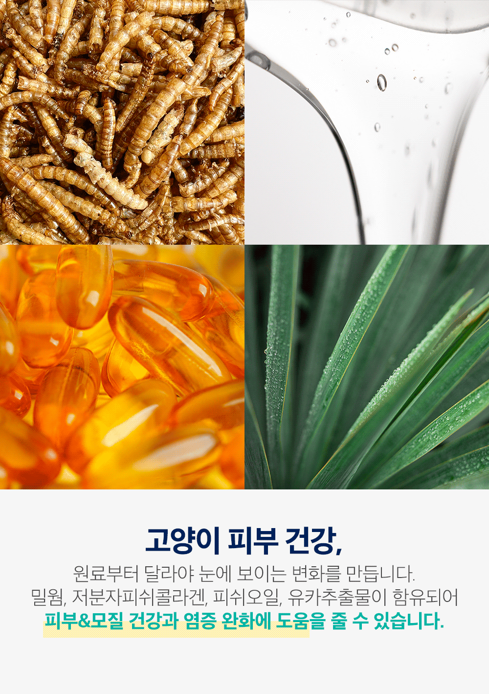 하이포알러제닉-포-캣_3.gif