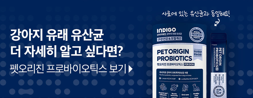 인디고세븐_에스포독_4.jpg