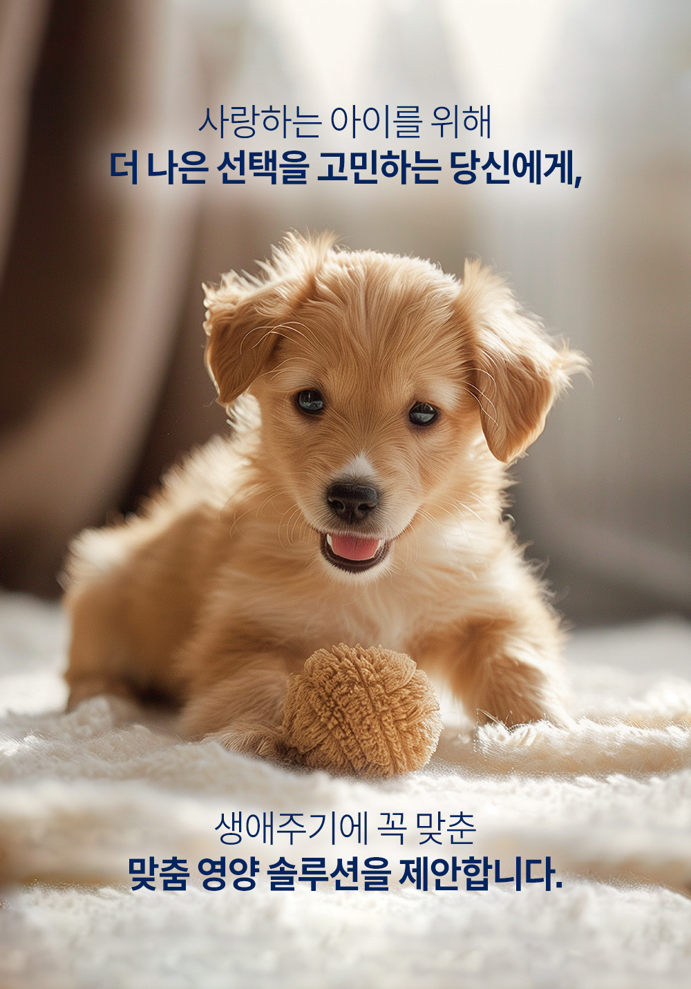 어덜트7+포독_상세1.jpg