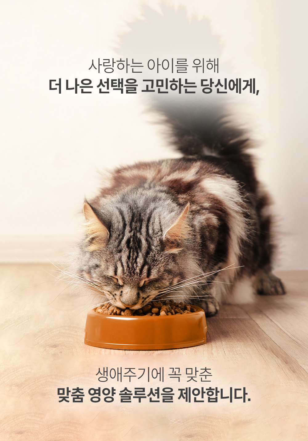 어덜트포캣_상세1.jpg